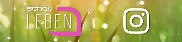 schautv_schauLEBEN_Instagram