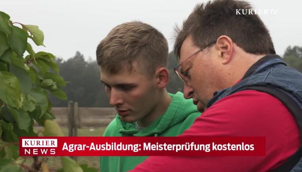 Ein junger Mann und ein älterer Mann betrachten gemeinsam eine Pflanze.