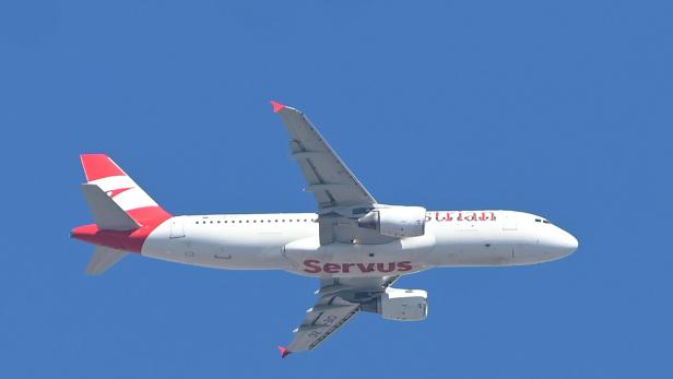 Ein Passagierflugzeug fliegt am Himmel, darüber kreist ein einzelner Vogel.