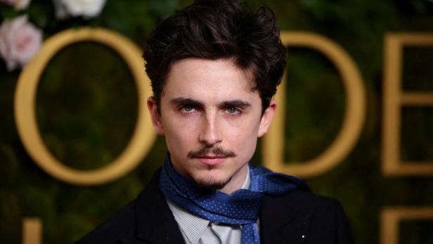 Porträt von Timothée Chalamet mit blauem Schal vor floralem Hintergrund.