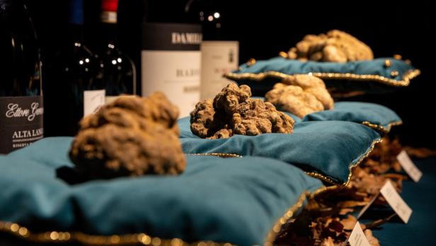 Annual Alba white truffle auction takes place in Italy