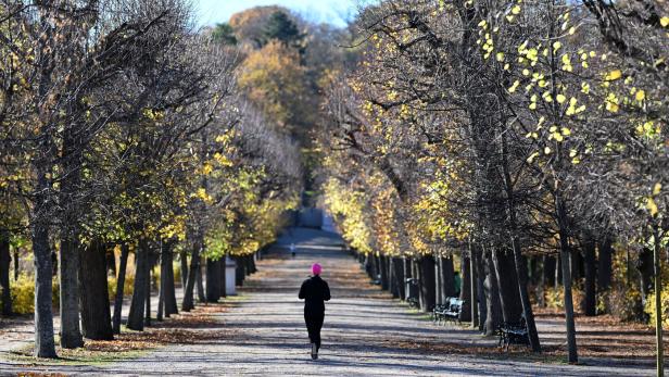 Symbolbild: Eine Joggerin im Schlosspark Schönbrunn