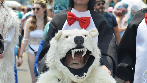 Mehrere Menschen in fantasievollen Kostümen, darunter ein Pinguin mit roter Fliege und ein Eisbärkostüm mit offenem Maul.