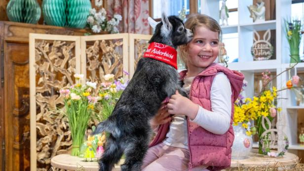 Kleines Mädchen mit kleiner Ziege