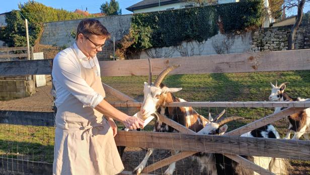 Gerhard Schiller füttert die Ziegen neben dem Gastgarten seines Wirtshauses.