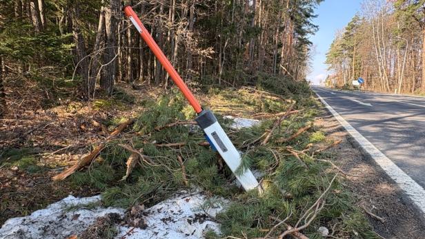 Ein beschädigter Leitpfosten steht schräg neben einer Straße, umgeben von abgebrochenen Ästen und etwas Schnee am Waldrand.