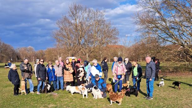 Eine Gruppe von Menschen mit mehreren Hunden versammelt sich auf einer Wiese an einem sonnigen Tag.