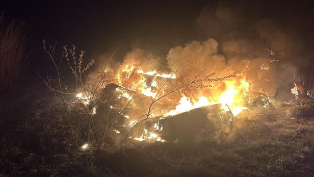 Schilf brannte am Neusiedler See