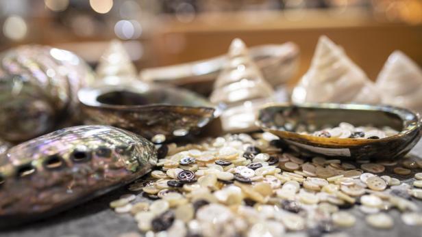 Perlmuttmuscheln und Knöpfe