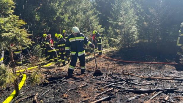 Mehrere Feuerwehrleute löschen einen Brand im Wald, der Boden ist teilweise verbrannt und verkohlt.