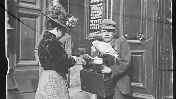 Das alte Wien in frühen Fotos