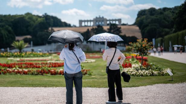 Touristen blicken auf Gloriette.