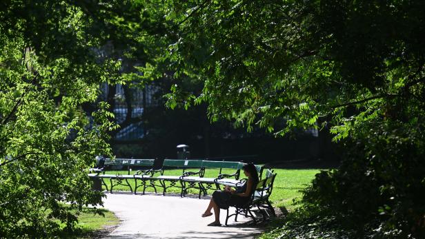 ++ THEMENBILD ++ SOMMER / WETTER / KLIMA / HITZE