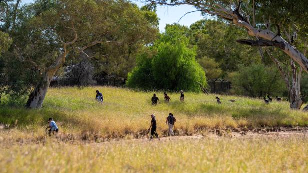 Eine Gruppe von Menschen wandert durch eine grasbewachsene Landschaft mit Bäumen im Hintergrund.