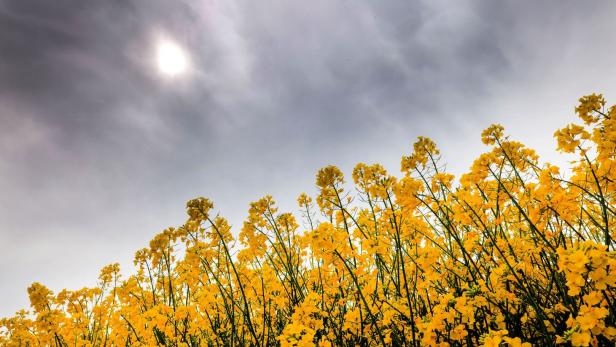 Wetter in Nordrhein-Westfalen