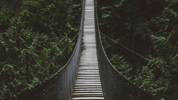 Hängebrücke im Urwald