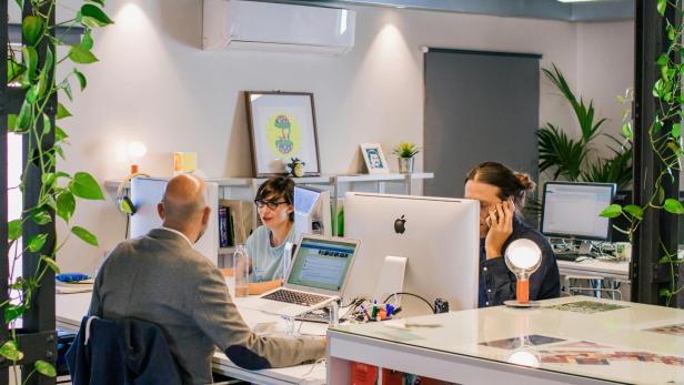 Drei Personen arbeiten an Schreibtischen mit Computern in einem modernen, hellen Büro mit Pflanzen und Dekoration.