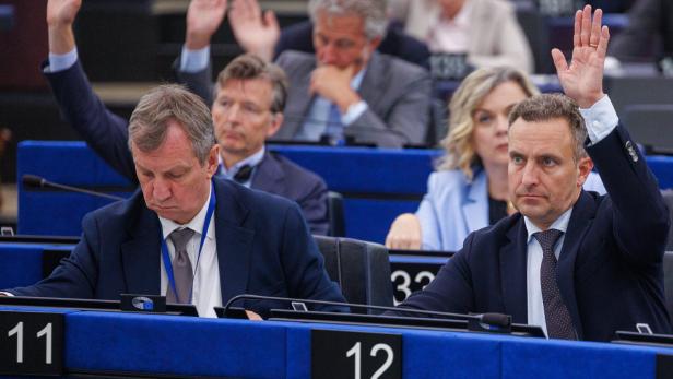 Eine Sitzung in EU-Parlament in Straßburg