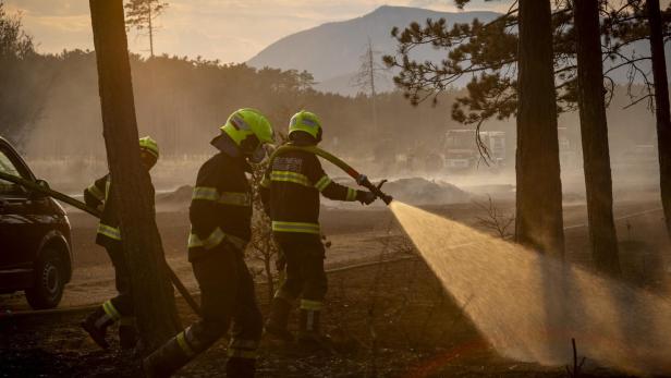 Waldbrand Föhrenwald St. Egyden 2026