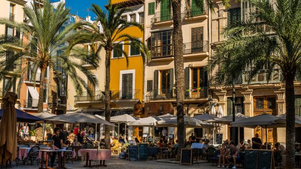 Ein sonniger Platz in Palma de Mallorca mit Palmen, Straßencafés und historischen Gebäuden mit Balkonen.