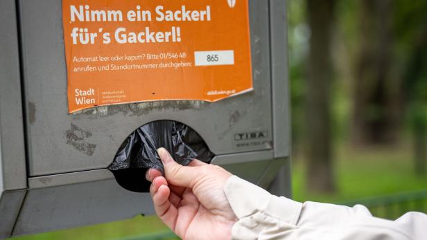 ++ THEMENBILD ++ HAUSTIER / HUND