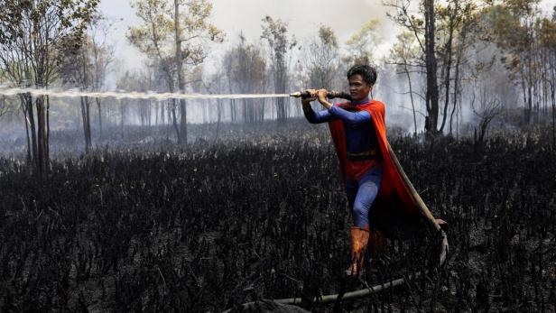 Ein Mann im Superheldenkostüm löscht mit einem Schlauch einen Waldbrand in verkohltem Gelände.