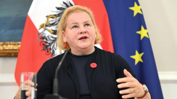 MINISTERRAT: SCHUMANN (SPÖ)