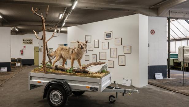 ASTORIA ARTSHOW: Wiens neues Kunstevent eröffnet
