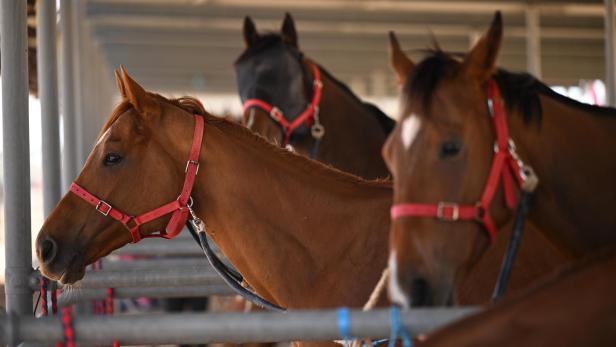 Birdsville Races in Queensland, Australia