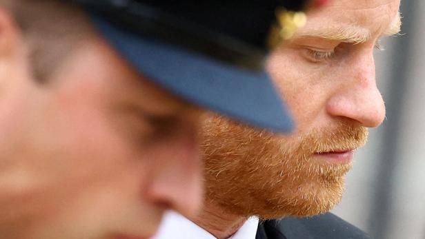 Prinz Harry und Prinz William in dunklen Anzügen mit gesenkten Köpfen bei einer offiziellen Zeremonie.