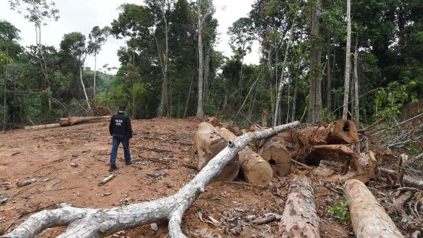 BRAZIL-UN-COP26-CLIMATE-AMAZON