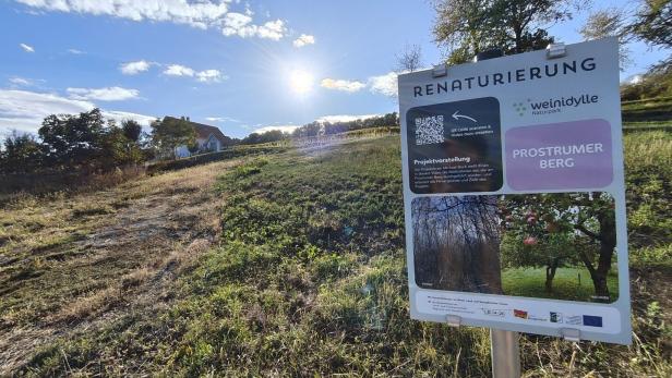 Renaturierungs-Schild am Prostrumer Berg auf einer sonnigen Wiese mit Haus und Bäumen im Hintergrund.