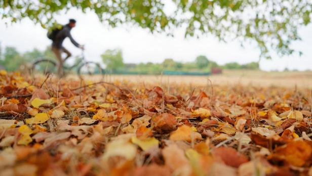 Wetter in Baden-Württemberg
