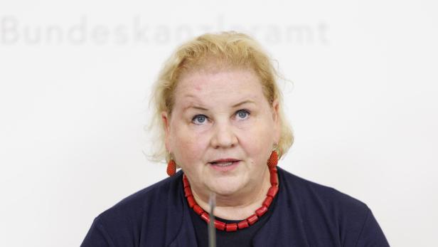 PRESSEKONFERENZ ZUR SOZIALHILFE NEU: SCHUMANN (SPÖ)