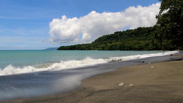 VANUATU-ENVIRONMENT-CONSERVATION-FORESTS