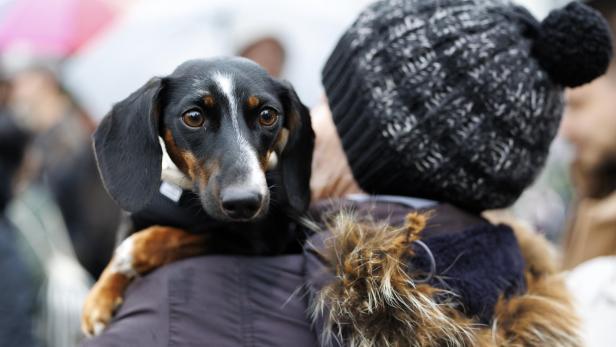 1. WIENER WIENER WALK