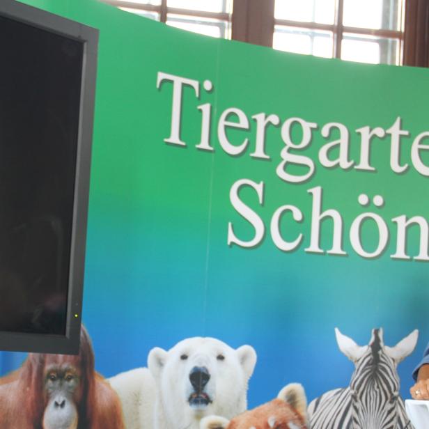 Thomas Conrad Brezina mit dem Blick auf die App, wo hier „Schurli“, der älteste Schönbrunn-Bewohner (120 Jahre) zu sehen ist.