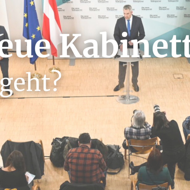 Journalisten fotografieren zwei Männer vor österreichischen und EU-Flaggen.