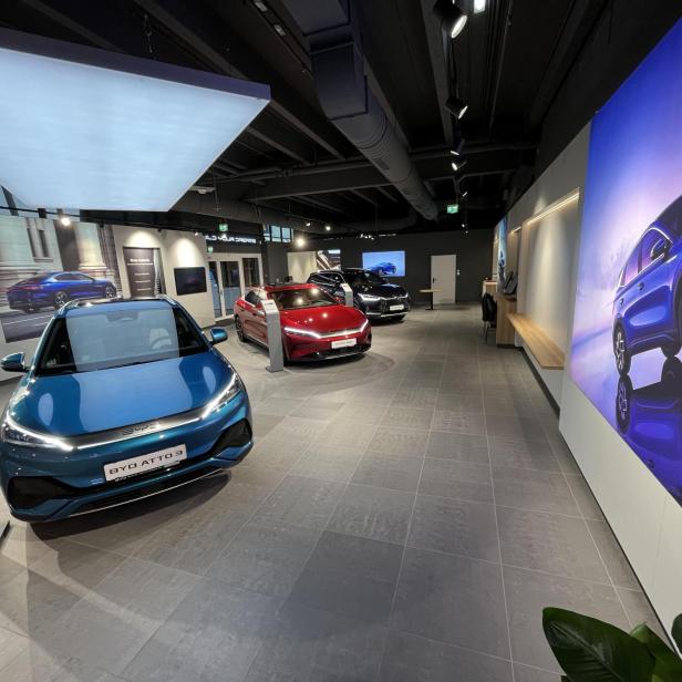 Innenansicht eines BYD-Autohauses mit mehreren ausgestellten Fahrzeugen.